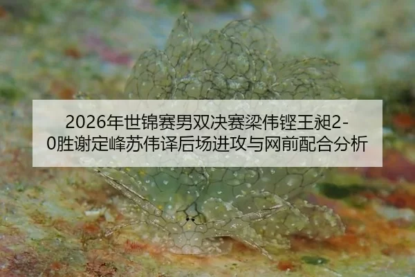 nian-shi-jin-sai-nan-shuang-jue-sai-liang-wei-keng-wang-chang-sheng-xie-ding-feng-su-wei-yi-hou-chang-jin-gong-yu-wang-2-273.jpg